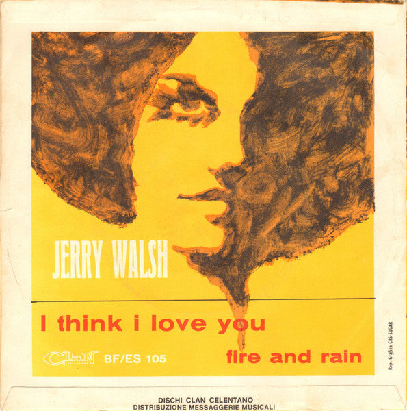 Jerry Walsh : I Think I Love You / Fire And Rain (7")